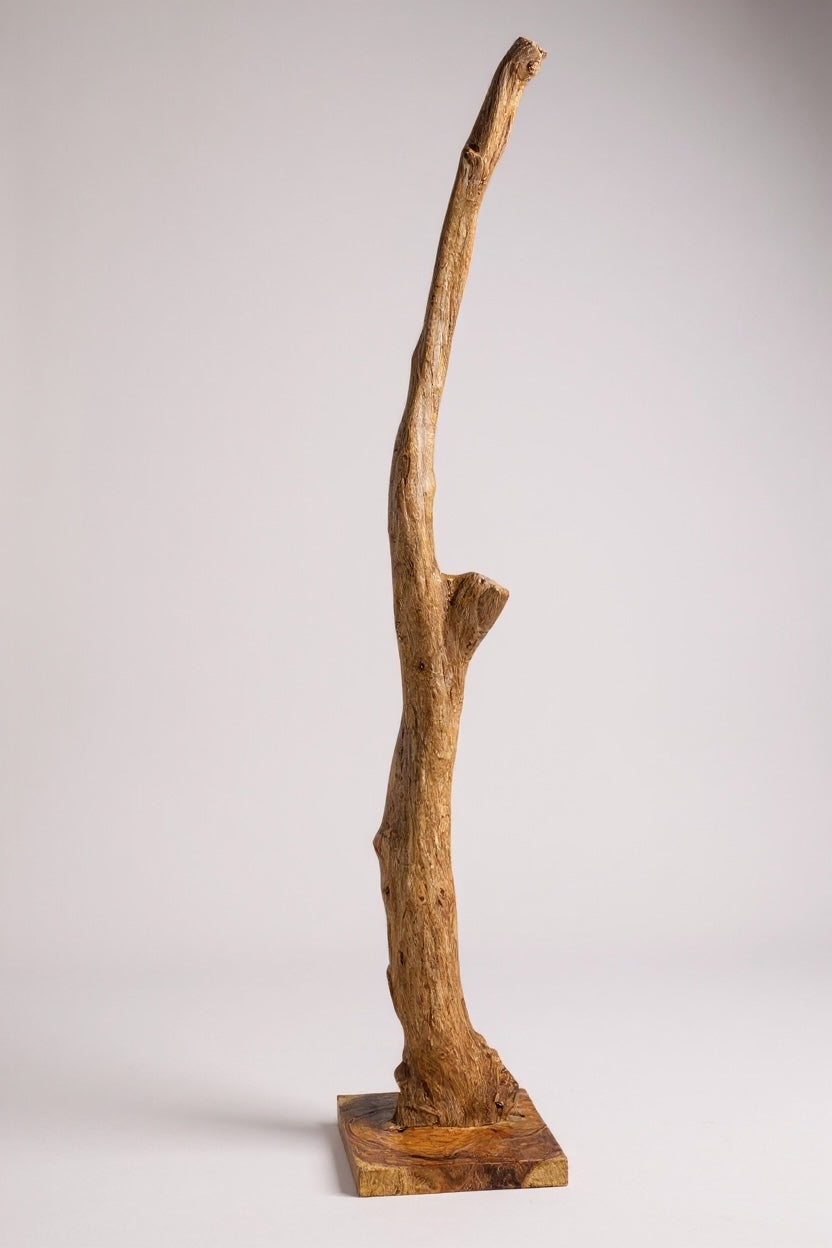 Teakwood base natural root – handmade solid wood unique, decorative wooden base for lamps & living room - 180–200 cm height Ø 8–13 cm