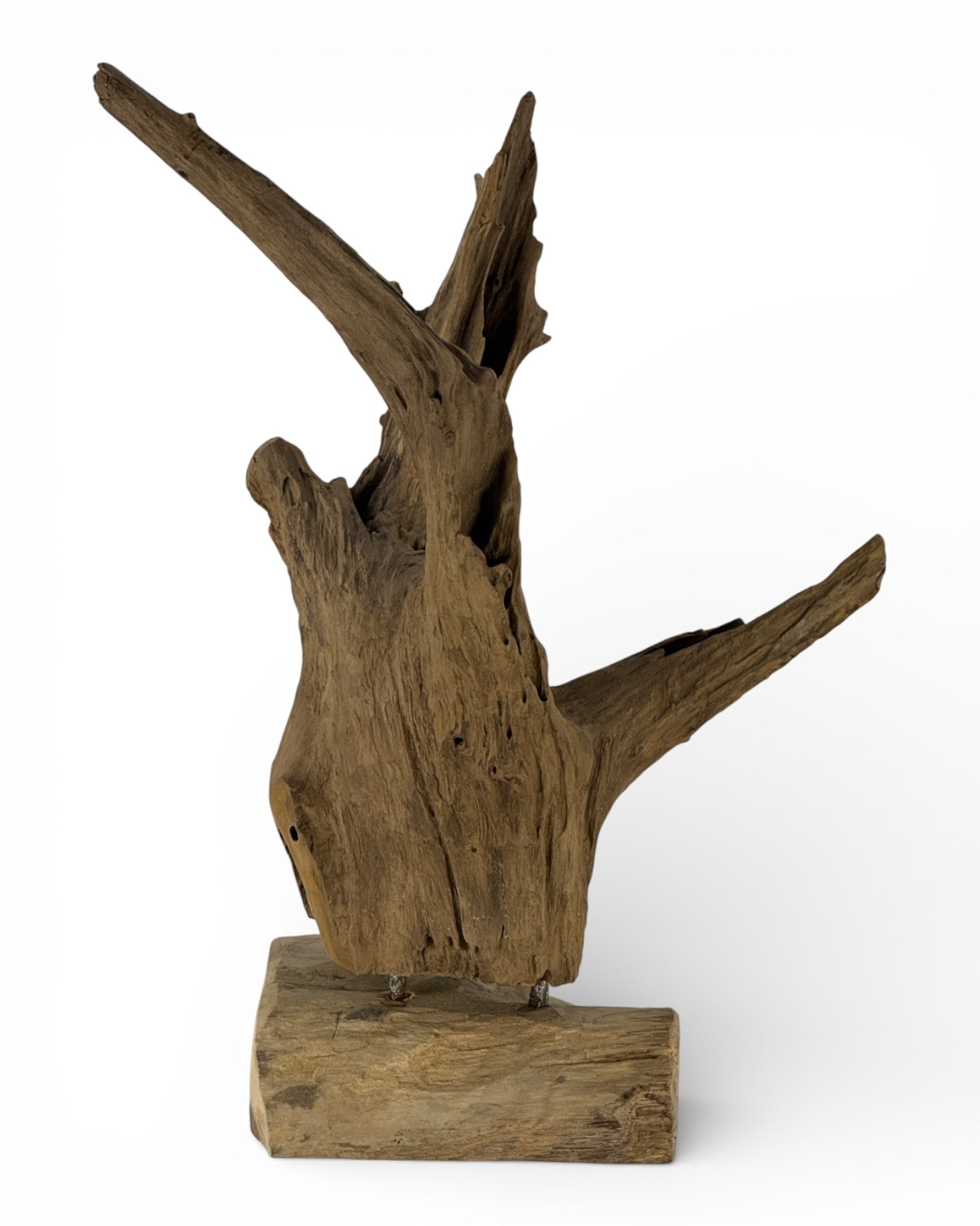 Unique piece: One-of-a-kind decorative object made of teak root wood - 52 × 38 × 23 cm