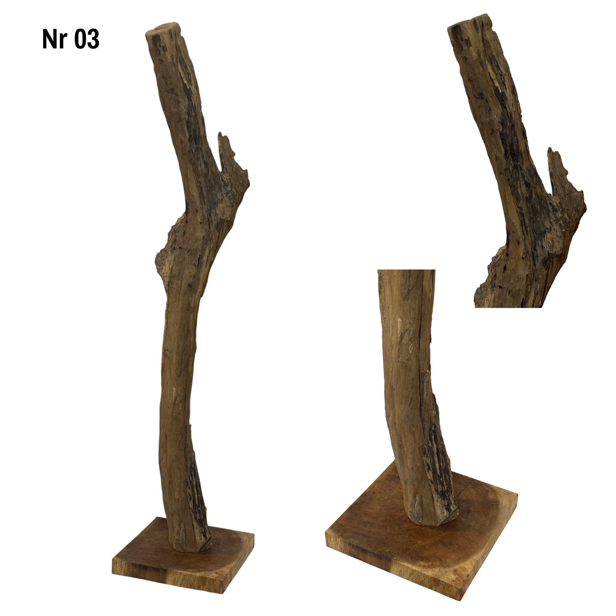 Teakwood base natural root – handmade solid wood unique, decorative wooden base for lamps & living room - 180–200 cm height Ø 8–13 cm