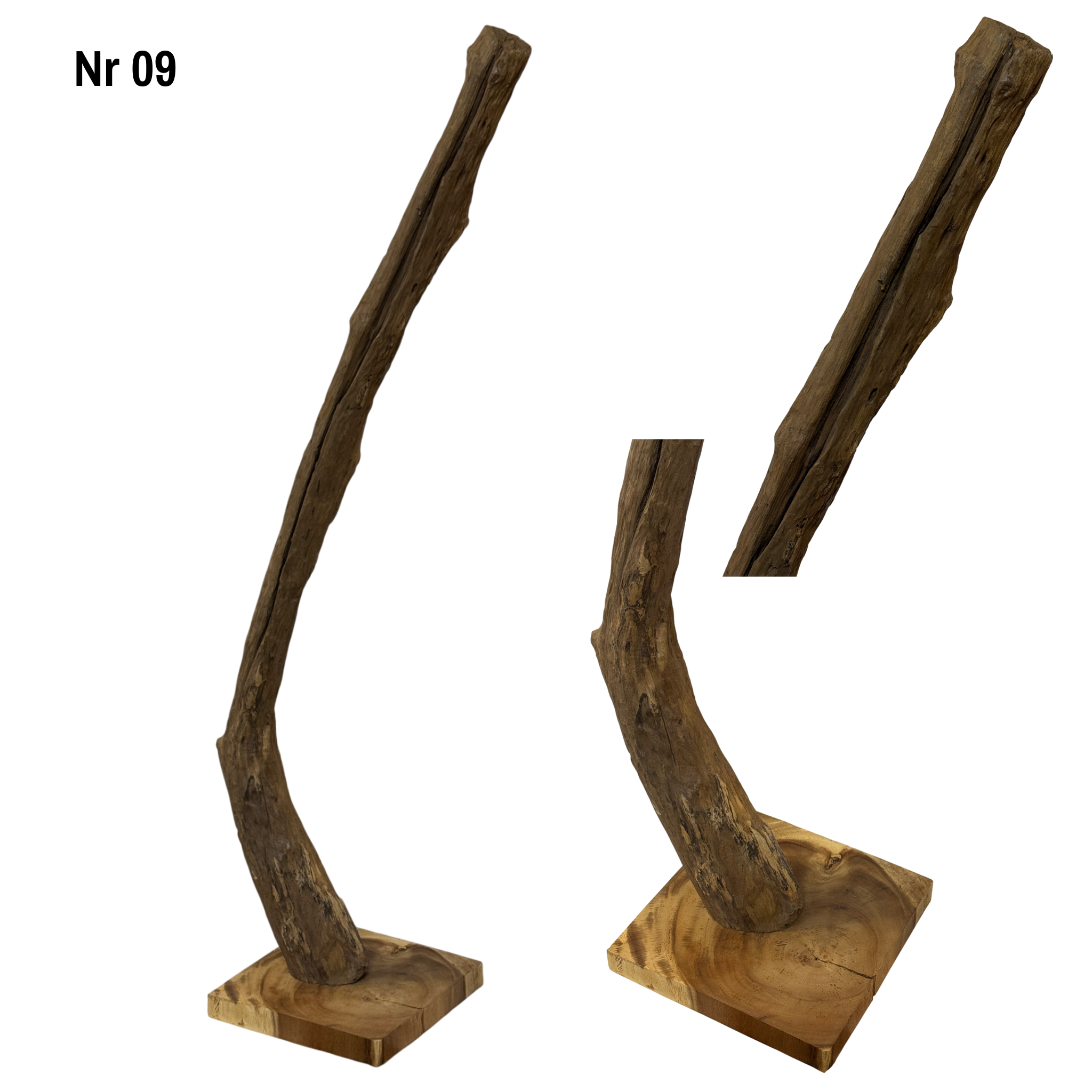 Teakwood base natural root – handmade solid wood unique, decorative wooden base for lamps & living room - 180–200 cm height Ø 8–13 cm