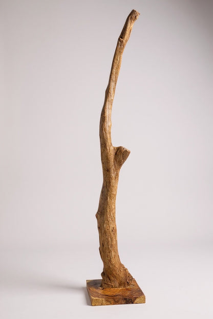 Teakwood base natural root – handmade solid wood unique, decorative wooden base for lamps &amp; living room - 180–200 cm height Ø 8–13 cm