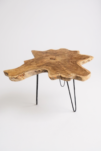 Table d'appoint en bois – table basse de rangement – ​​fait main – plateau de table en coupe transversale d'arbre en bois d'if – 40-80x40-60 cm