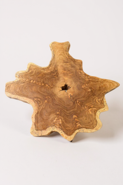 Holz Beistelltisch – Couchtisch Ablagetisch – Handgefertigt - Baumquerschnitt-Tischplatte aus Eibenholz – 40-80x40-60 cm