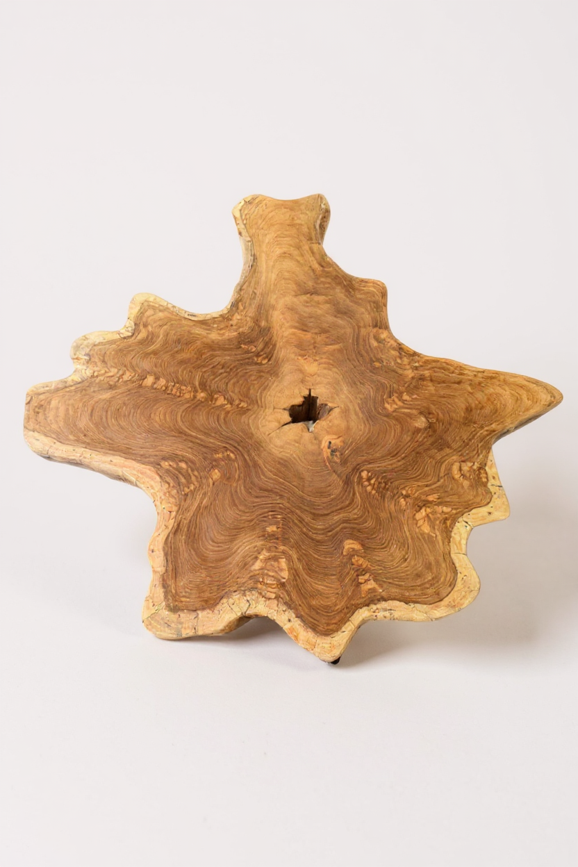 Table d'appoint en bois – table basse de rangement – ​​fait main – plateau de table en coupe transversale d'arbre en bois d'if – 40-80x40-60 cm