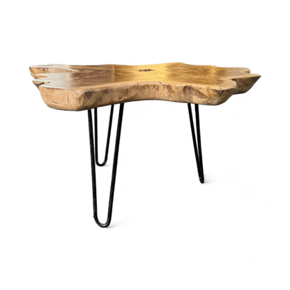 Holz Beistelltisch – Couchtisch Ablagetisch – Handgefertigt - Baumquerschnitt-Tischplatte aus Eibenholz – 40-80x40-60 cm - FaHome
