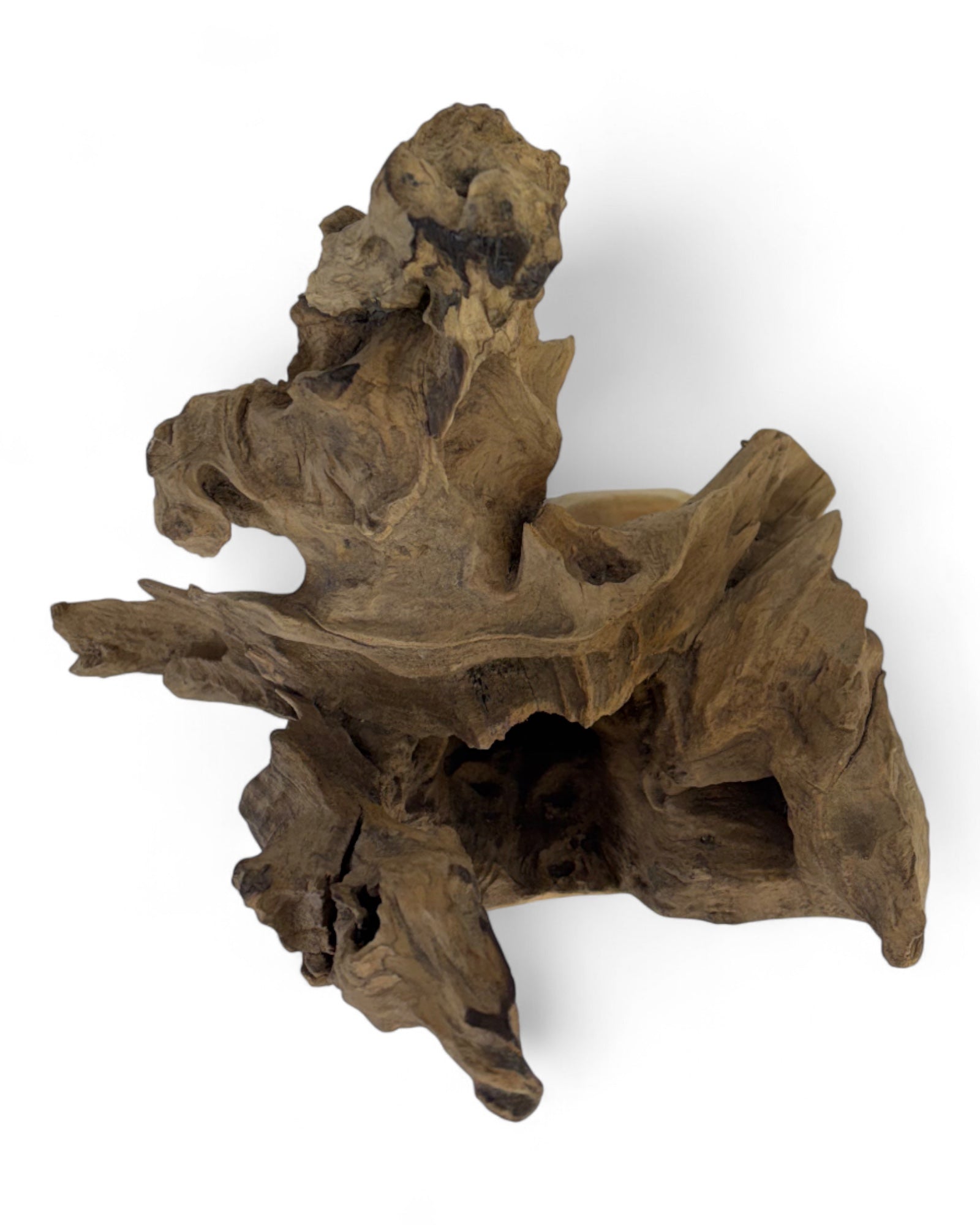 Einzelstück: Teakholz Deko-Skulptur – Naturbelassenes Wurzelholz Unikat für Wohn- & Gartenbereiche