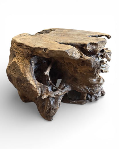 Unique piece: One-of-a-kind garden root wood table made of teak - 42 × 70 × 60 cm