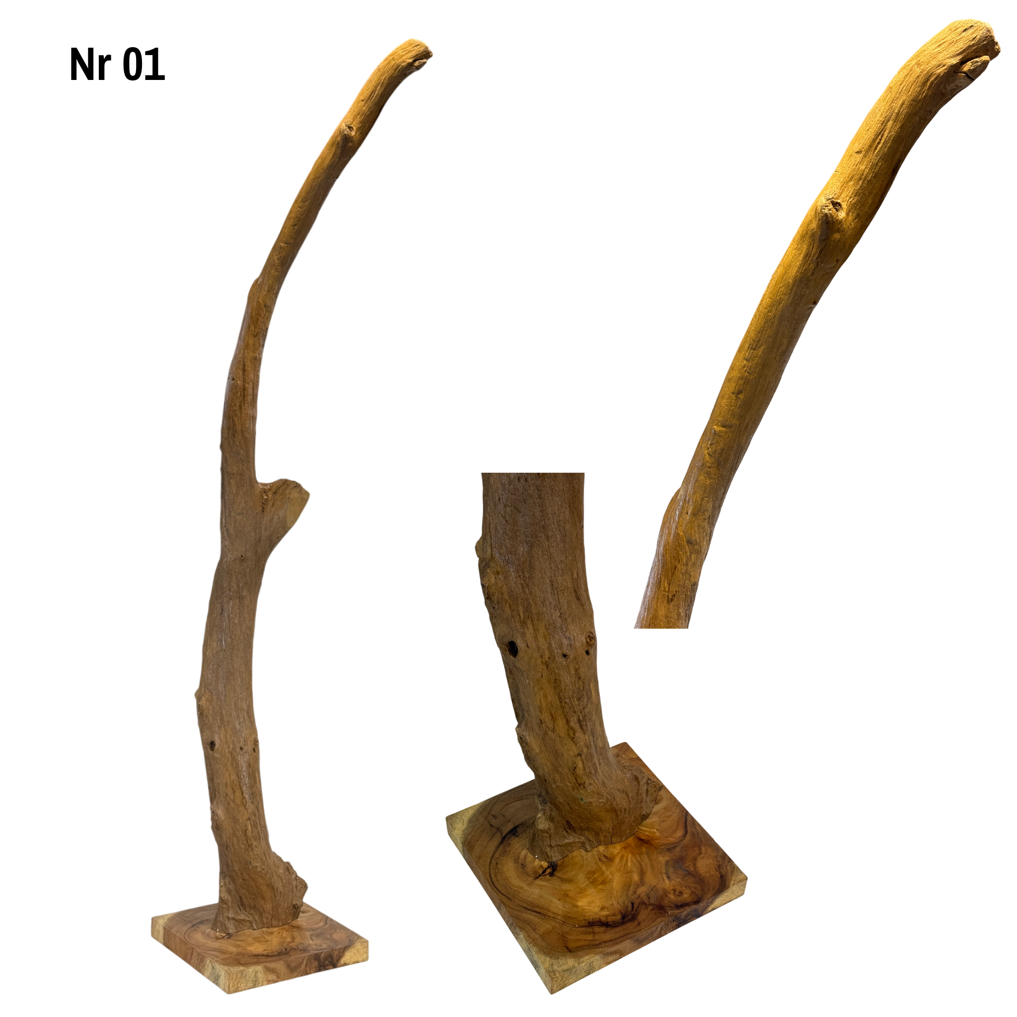 Teakwood base natural root – handmade solid wood unique, decorative wooden base for lamps &amp; living room - 180–200 cm height Ø 8–13 cm