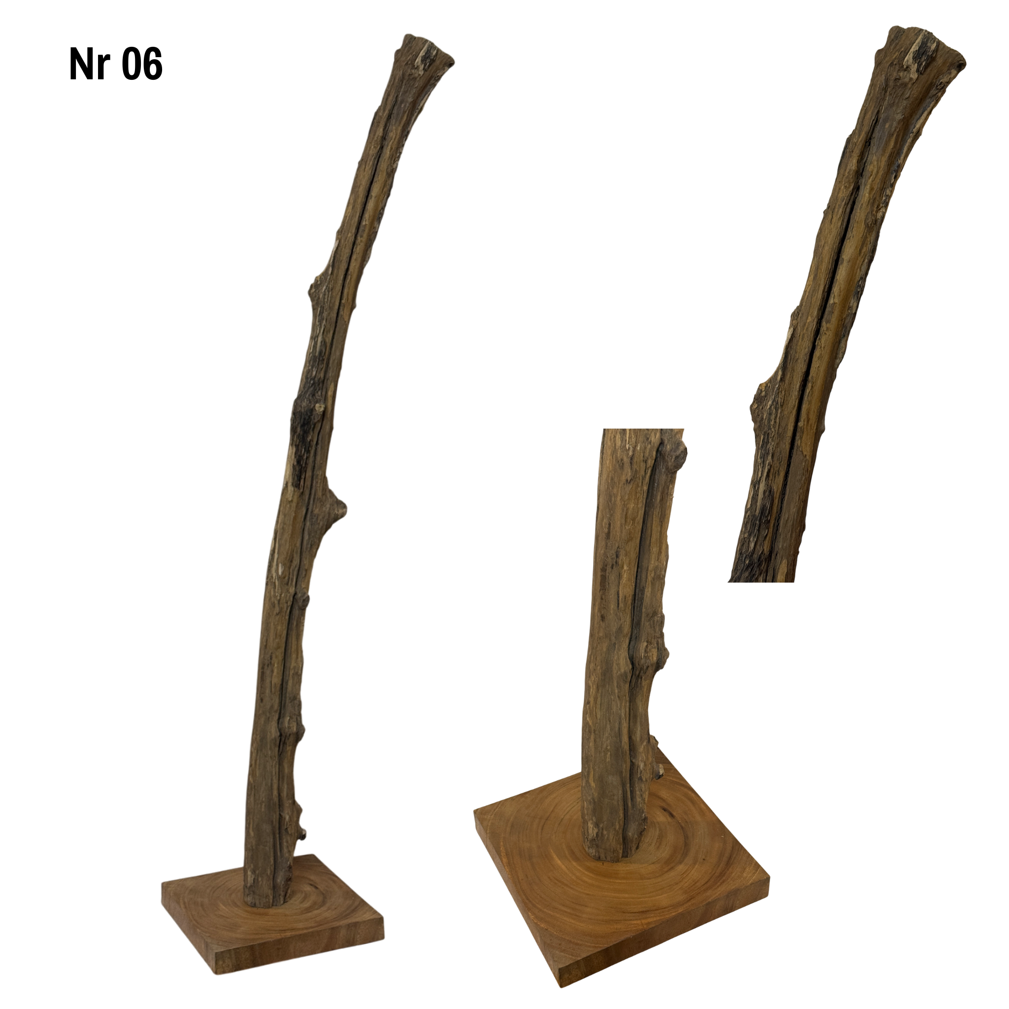 Teakwood base natural root – handmade solid wood unique, decorative wooden base for lamps &amp; living room - 180–200 cm height Ø 8–13 cm