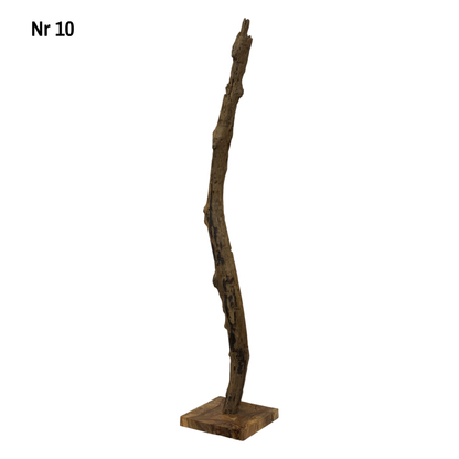 Teakwood base natural root – handmade solid wood unique, decorative wooden base for lamps &amp; living room - 180–200 cm height Ø 8–13 cm