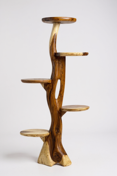 Étagère en teck – Design naturel avec un grain de bois unique – Accessoire de maison polyvalent pour plantes, livres et décorations – Différentes tailles