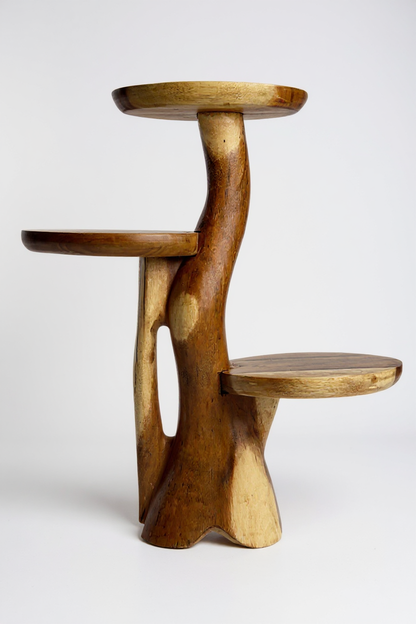 Étagère en teck – Design naturel avec un grain de bois unique – Accessoire de maison polyvalent pour plantes, livres et décorations – Différentes tailles