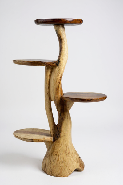 Étagère en teck – Design naturel avec un grain de bois unique – Accessoire de maison polyvalent pour plantes, livres et décorations – Différentes tailles