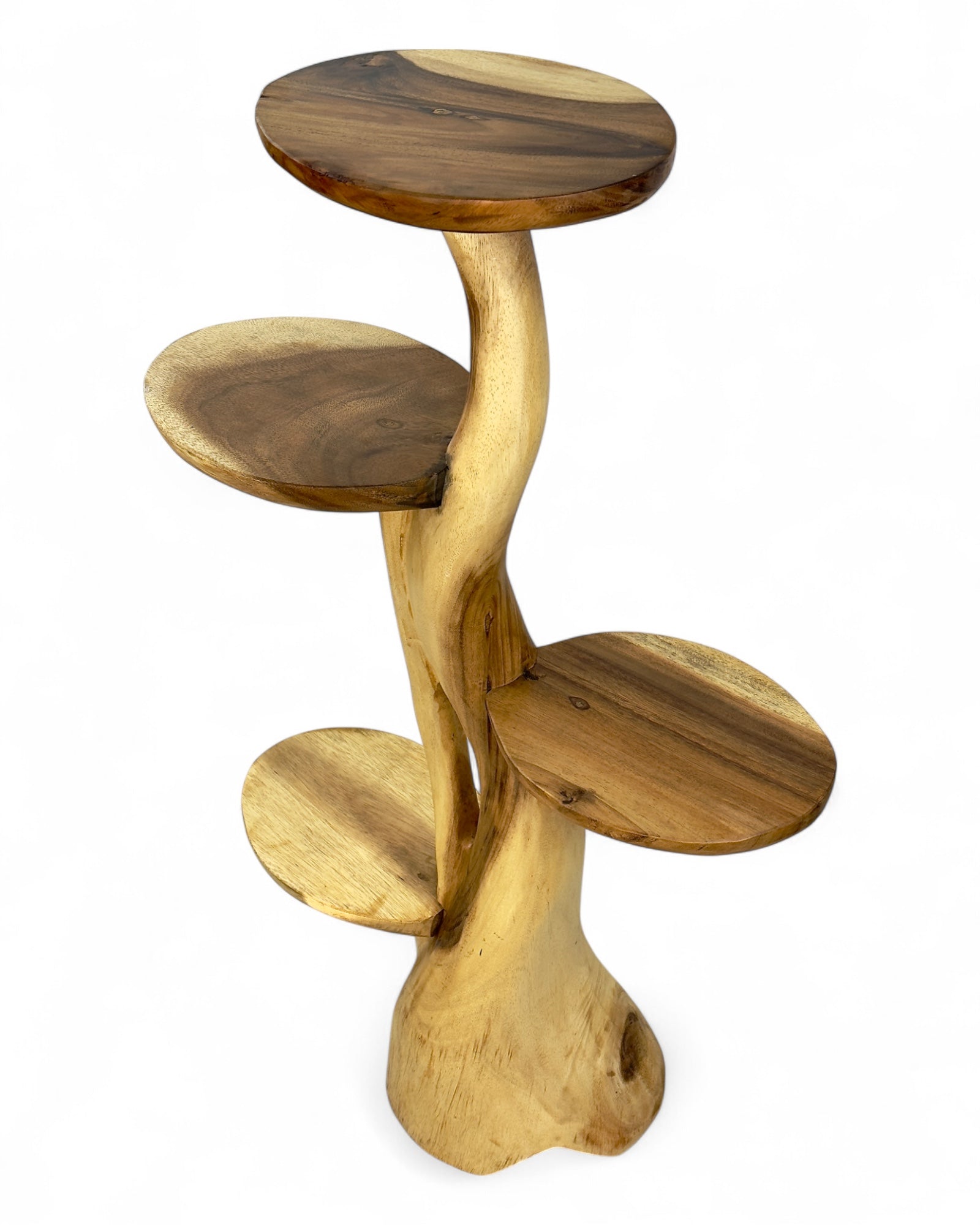 Teak shelf – Natural design with unique wood grain – Versatile home accessory for plants, books &amp; decorations – Various sizes